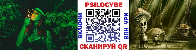 Псилоцибиновые грибы мицелий  купить  цена  Мичуринск 